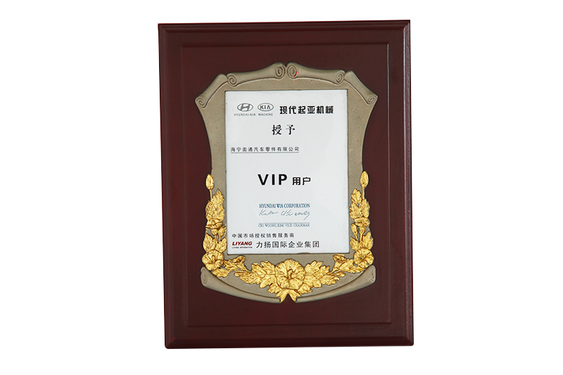 現代起亞機械授予茲VIP用戶(hù)